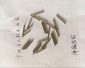 粉末冶金成人情趣用品伸縮款小模數(shù)齒輪**器粉末齒輪光軸配件