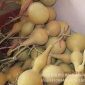 天然中號(hào)葫蘆，高度15到20厘米，工藝葫蘆，廠家，支持批發(fā)