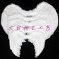 現(xiàn)貨大號(hào) 天使羽毛翅膀60*45cm 舞臺(tái)演出婚慶cosplay道具 可訂做