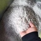 重熔渣_鑫澤冶金_電渣重熔渣_生產(chǎn)商加工