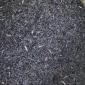廠家大量供應高碳碳化稻殼 C含量-40%
